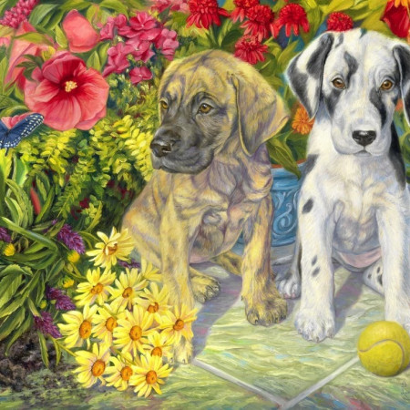 Due persone dispettose