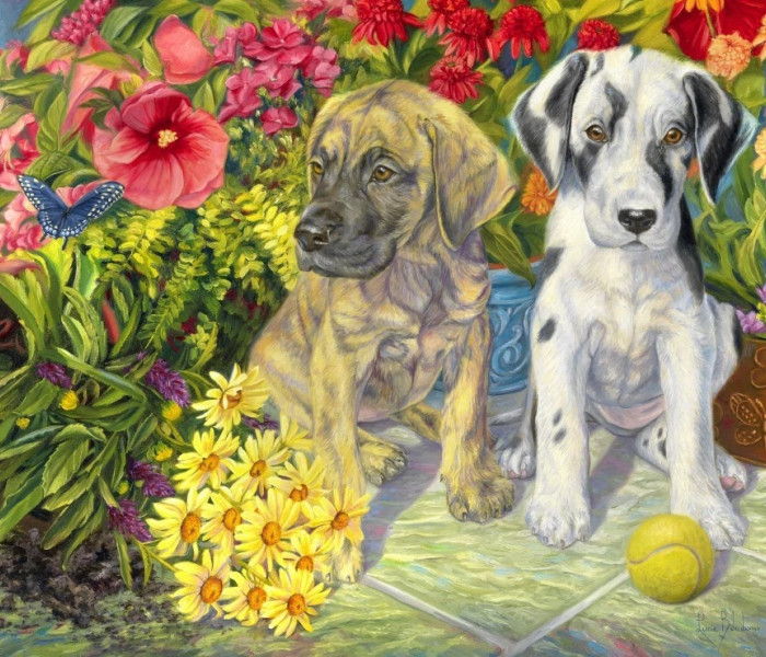 Puzzle - Bluebird - Due persone dispettose