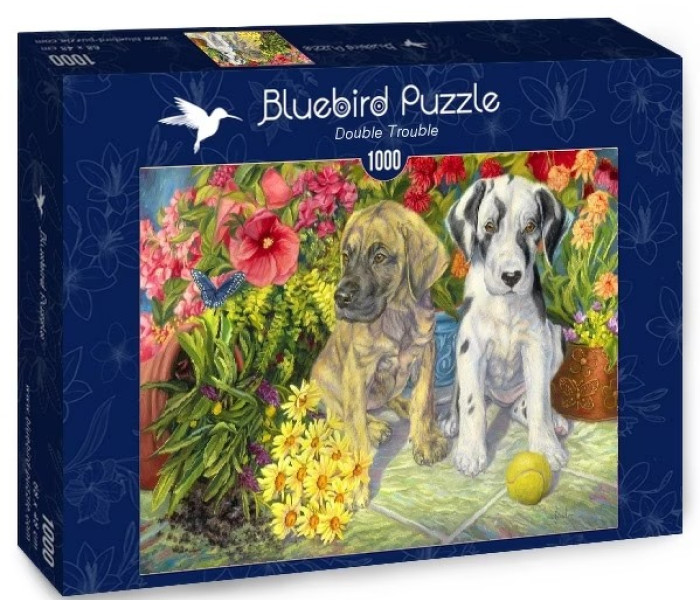 Puzzle - Bluebird - Due persone dispettose