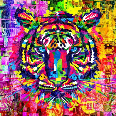Tigre colorata