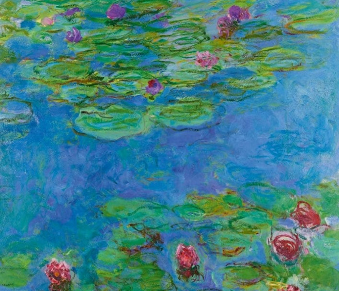 Puzzle - Bluebird - Ninfee