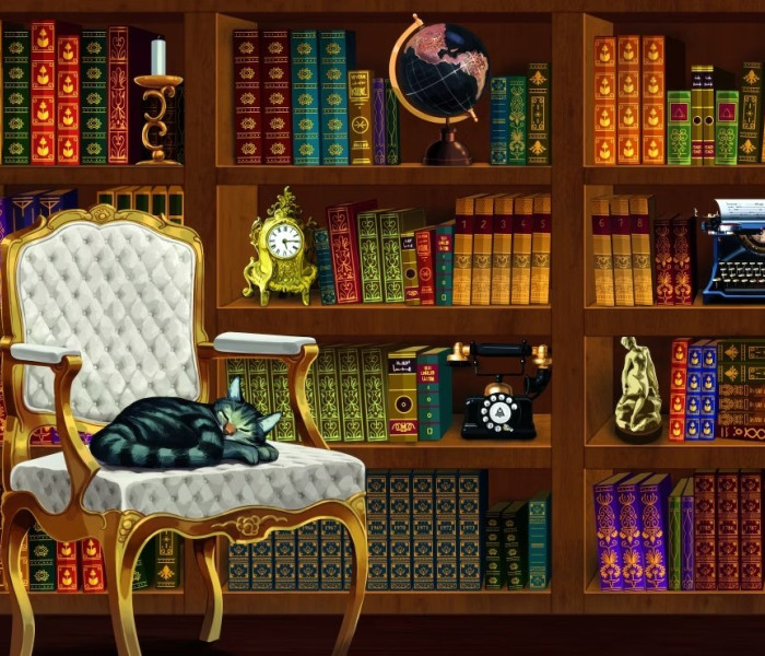 Puzzle - Bluebird - Vecchia biblioteca