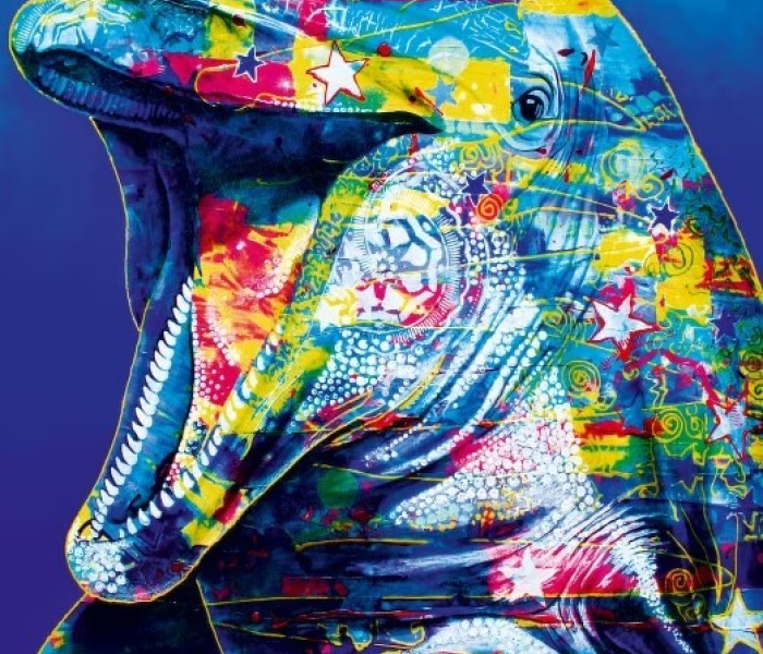 Puzzle - Bluebird - Delfino