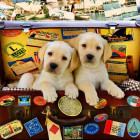 Puzzle - Bluebird - Due piccoli viaggiatori
