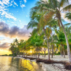 Puzzle - Bluebird - Guadalupa - Spiaggia di Anse Champagne