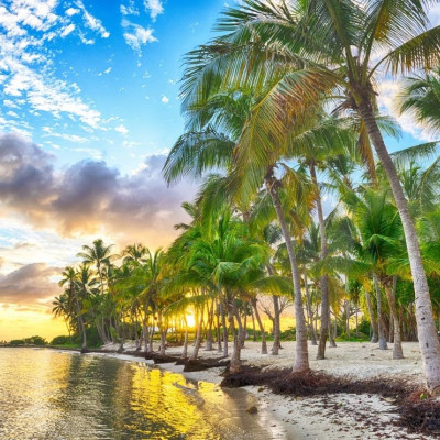 Guadalupa - Spiaggia di Anse Champagne