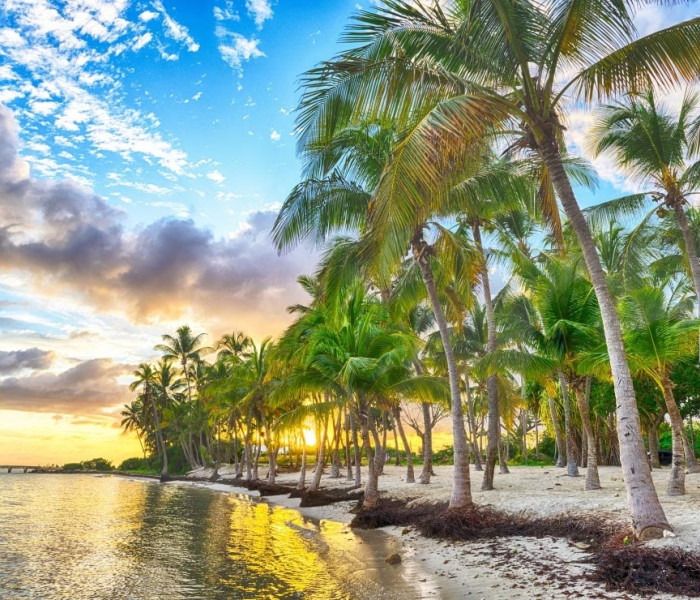 Puzzle - Bluebird - Guadalupa - Spiaggia di Anse Champagne