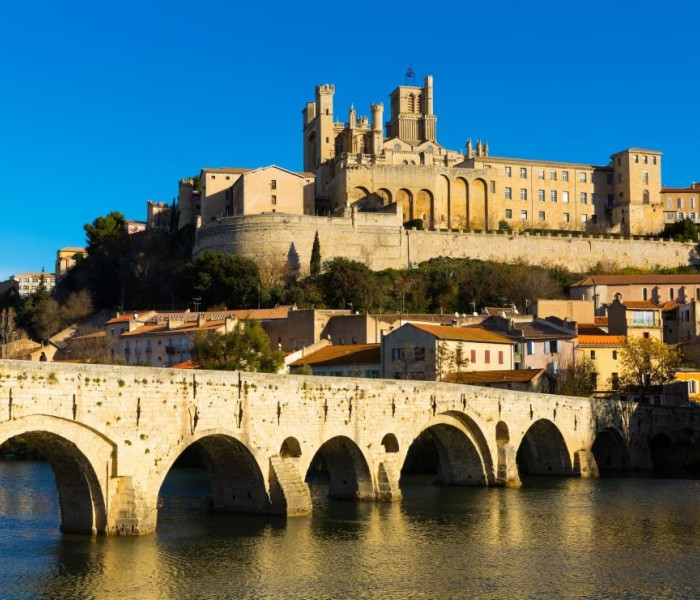 Puzzle - Bluebird - Cattedrale di Saint-Nazaire a Béziers, Francia