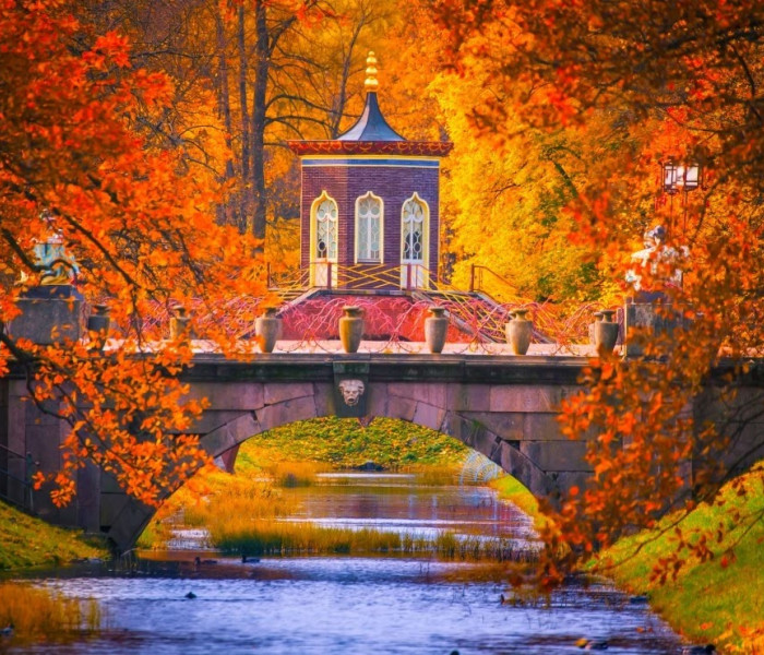 Puzzle - Bluebird - Parco di Caterina, Pushkin, Russia