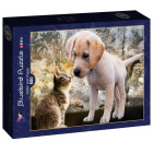 Puzzle - Bluebird - Gattino e cucciolo