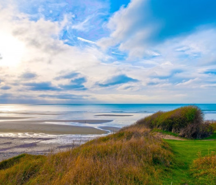 Puzzle - Bluebird - Costa d Opale, Francia