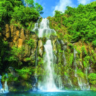 Puzzle - Bluebird - Isola della Riunione – Cascate dell Aigrett