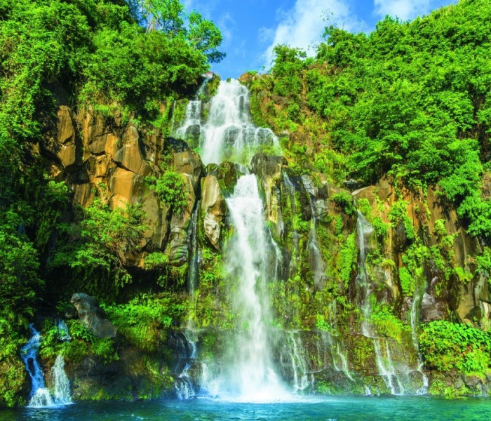 Puzzle - Bluebird - Isola della Riunione – Cascate dell Aigrett