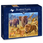 Puzzle - Bluebird - Animali che vivono nella savana