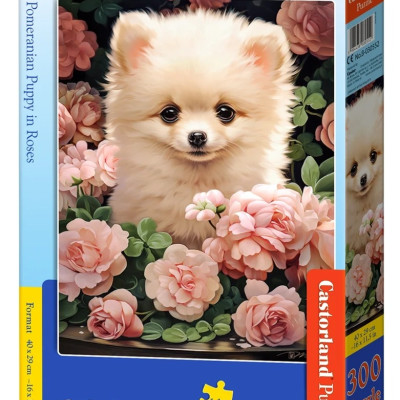 Cucciolo di Pomerania a Roses