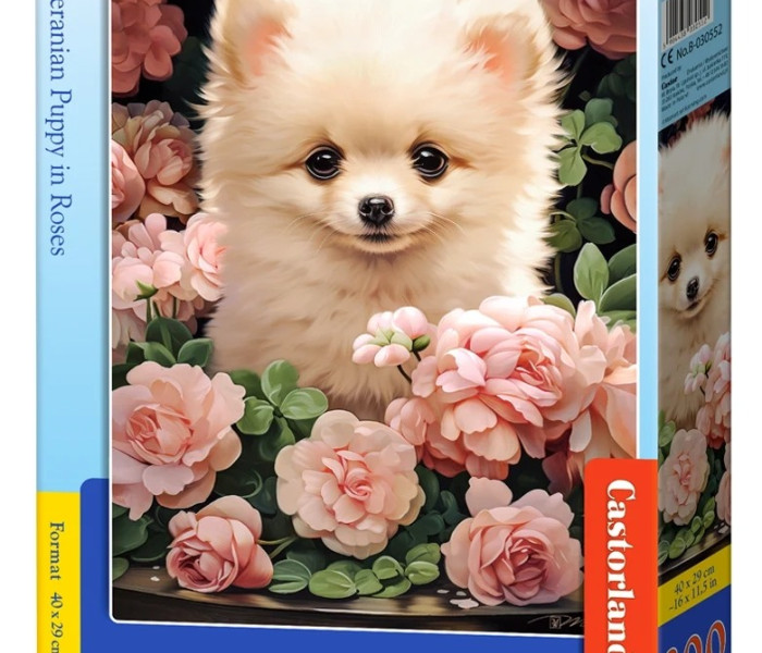 Puzzle - Castorland - Cucciolo di Pomerania a Roses