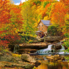 Puzzle - Castorland - Autunno magico