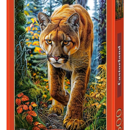 Leone di montagna nella foresta