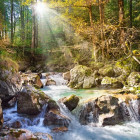 Puzzle - Castorland - Il ruscello della foresta