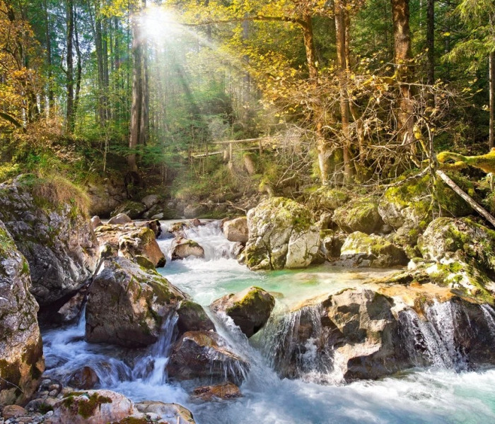 Puzzle - Castorland - Il ruscello della foresta