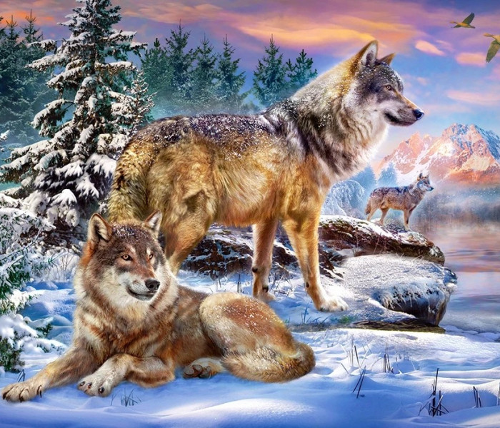 Puzzle - Castorland - Paese delle meraviglie del lupo
