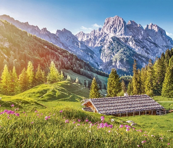 Puzzle - Castorland - Estate sulle Alpi