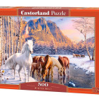 Puzzle - Castorland - Scioglimento invernale