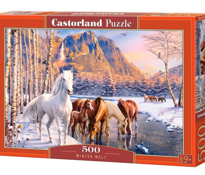 Puzzle - Castorland - Scioglimento invernale
