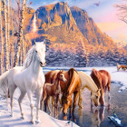Puzzle - Castorland - Scioglimento invernale