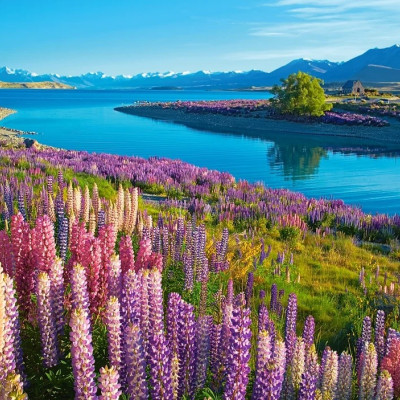 Lago Tekapo, Nuova Zelanda