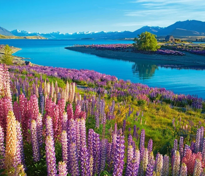 Puzzle - Castorland - Lago Tekapo, Nuova Zelanda