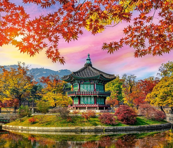 Puzzle - Castorland - Palazzo Gyeongbokgung, Seul, Corea del Sud