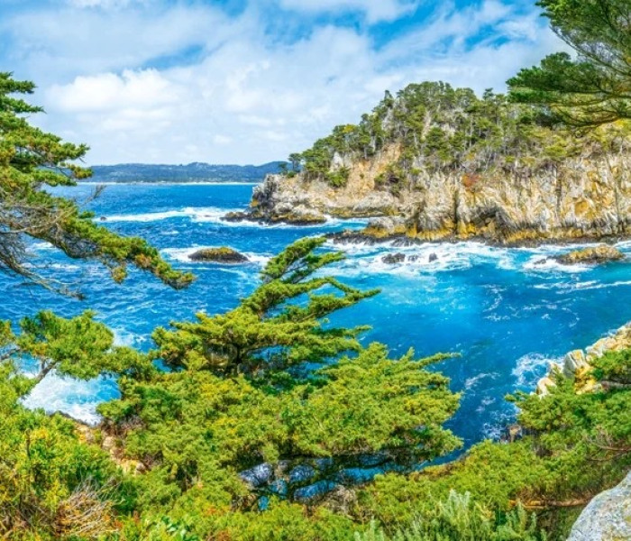 Puzzle - Castorland - Costa californiana