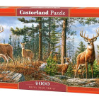 Puzzle - Castorland - Famiglia dei cervi reali