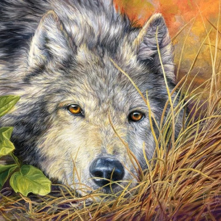 Anima pura