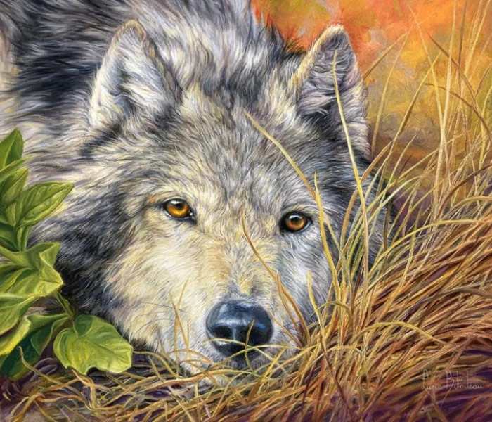 Puzzle - Castorland - Anima pura