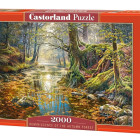 Puzzle - Castorland - Ricordo della foresta autunnale