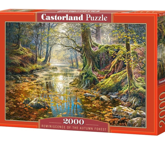 Puzzle - Castorland - Ricordo della foresta autunnale