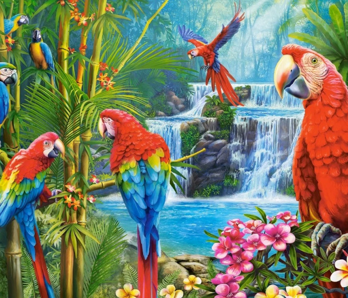 Puzzle - Castorland - Incontro dei pappagalli