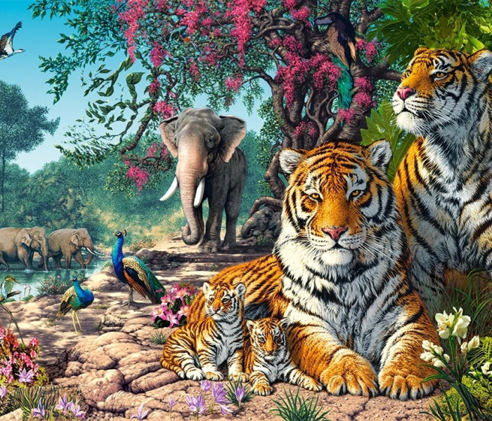 Puzzle - Castorland - Riserva delle tigri