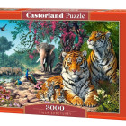 Puzzle - Castorland - Riserva delle tigri