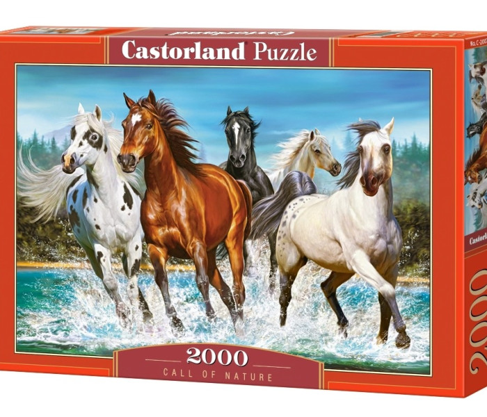 Puzzle - Castorland - Richiamo della natura