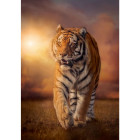 Puzzle - Clementoni - Tigre