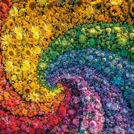 ColorBoom: Mulinello