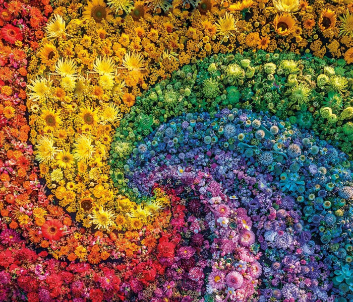 Puzzle - Clementoni - ColorBoom: Mulinello