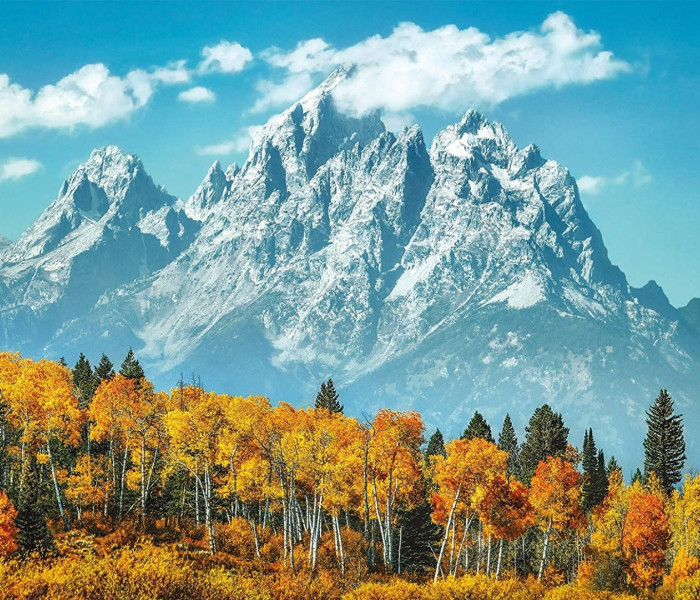 Puzzle - Clementoni - Grand Teton in autunno