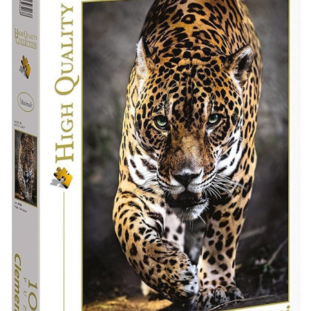 Un giaguaro che cammina