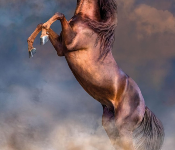 Puzzle - Clementoni - Grande stallone rosso