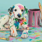 Puzzle - Clementoni - Divertente dalmata