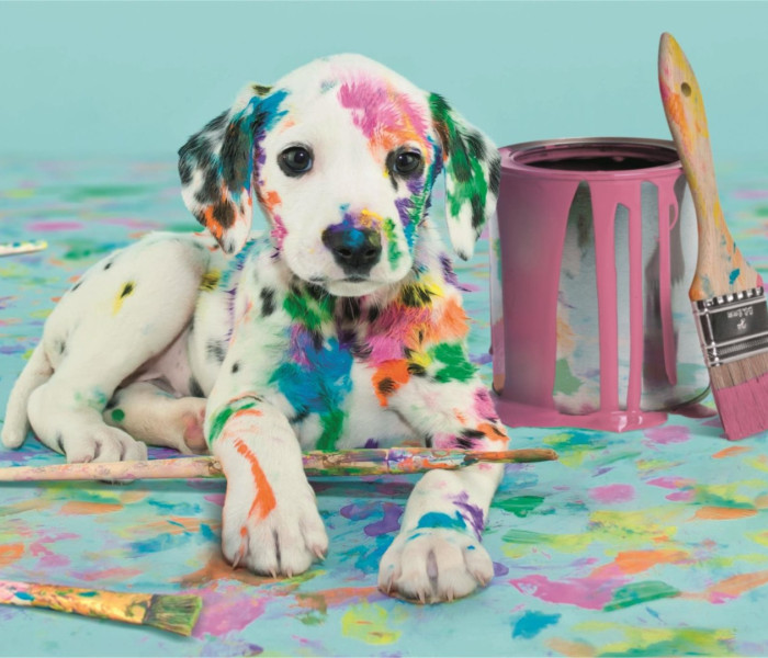 Puzzle - Clementoni - Divertente dalmata